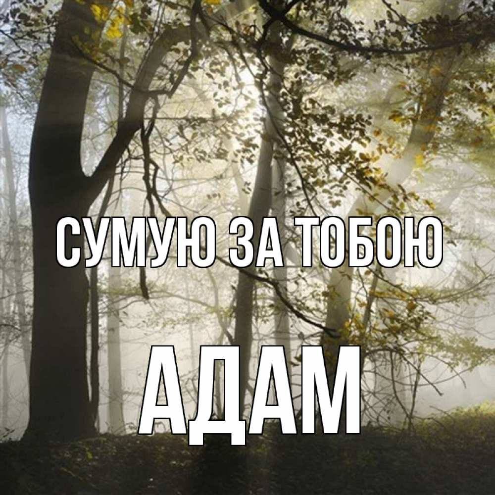 Открытка на каждый день з підписом, Адам Сумую за тобою грустно Прикольна листівка з побажанням онлайн скачати безкоштовно 
