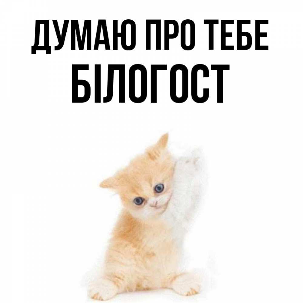 Открытка на каждый день з підписом, Білогост Думаю про тебе зверушки и милота Прикольна листівка з побажанням онлайн скачати безкоштовно 