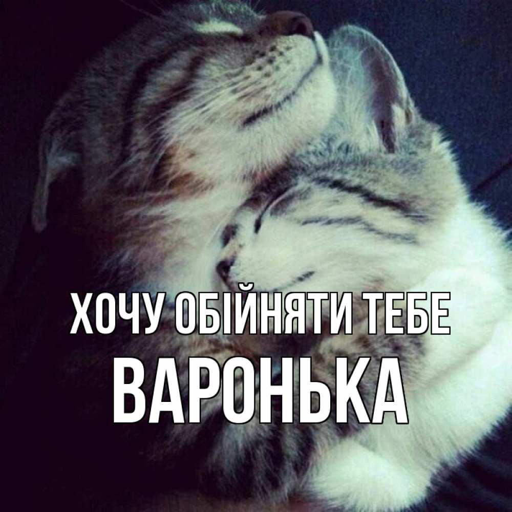 Открытка на каждый день з підписом, Варонька Хочу обійняти тебе полосатики Прикольна листівка з побажанням онлайн скачати безкоштовно 