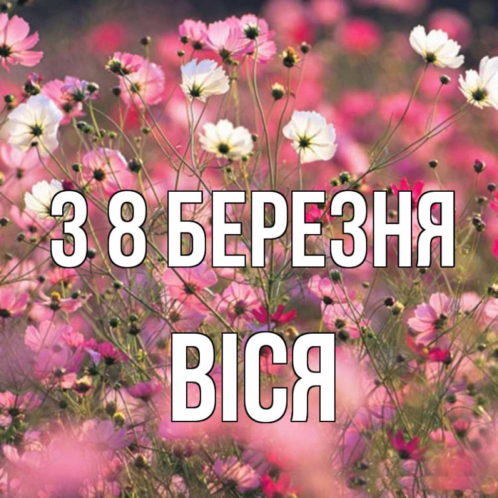 Открытка на каждый день з підписом, Віся З 8 БЕРЕЗНЯ красиво 1 Прикольна листівка з побажанням онлайн скачати безкоштовно 