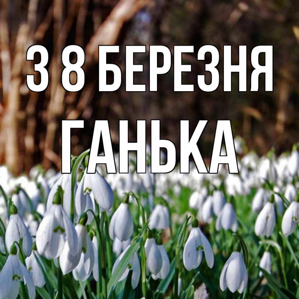 Открытка на каждый день з підписом, Ганька З 8 БЕРЕЗНЯ с подснежниками 1 Прикольна листівка з побажанням онлайн скачати безкоштовно 