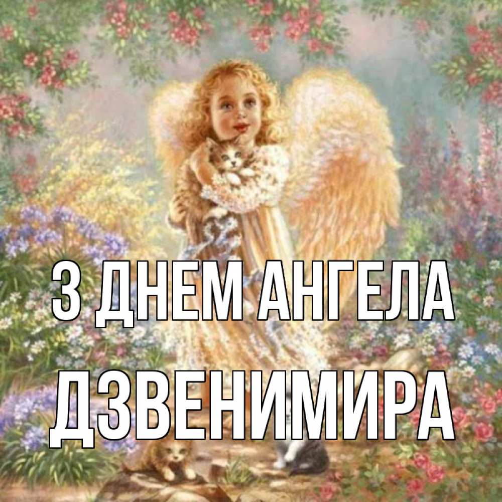 Открытка на каждый день з підписом, Дзвенимира З Днем ангела держит котенка Прикольна листівка з побажанням онлайн скачати безкоштовно 