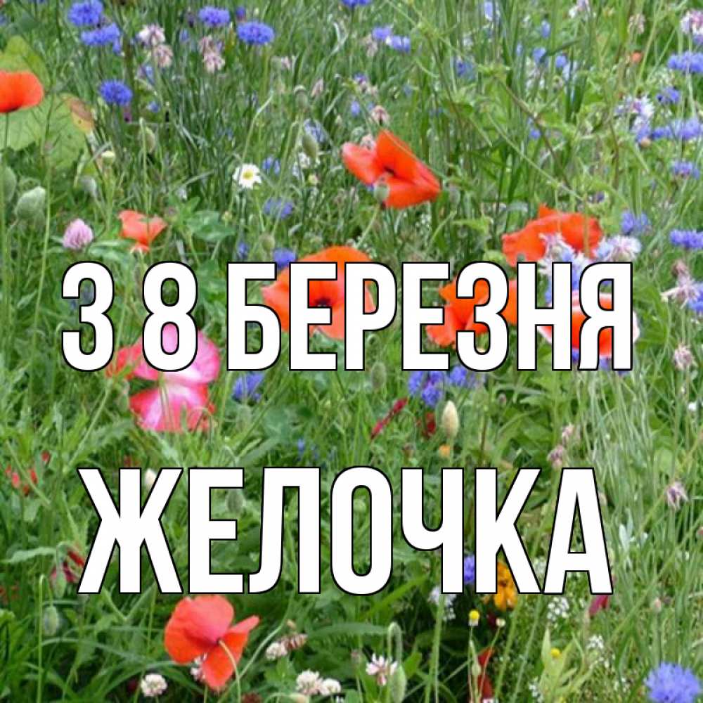 Открытка на каждый день з підписом, Желочка З 8 БЕРЕЗНЯ международный женский день 4 Прикольна листівка з побажанням онлайн скачати безкоштовно 