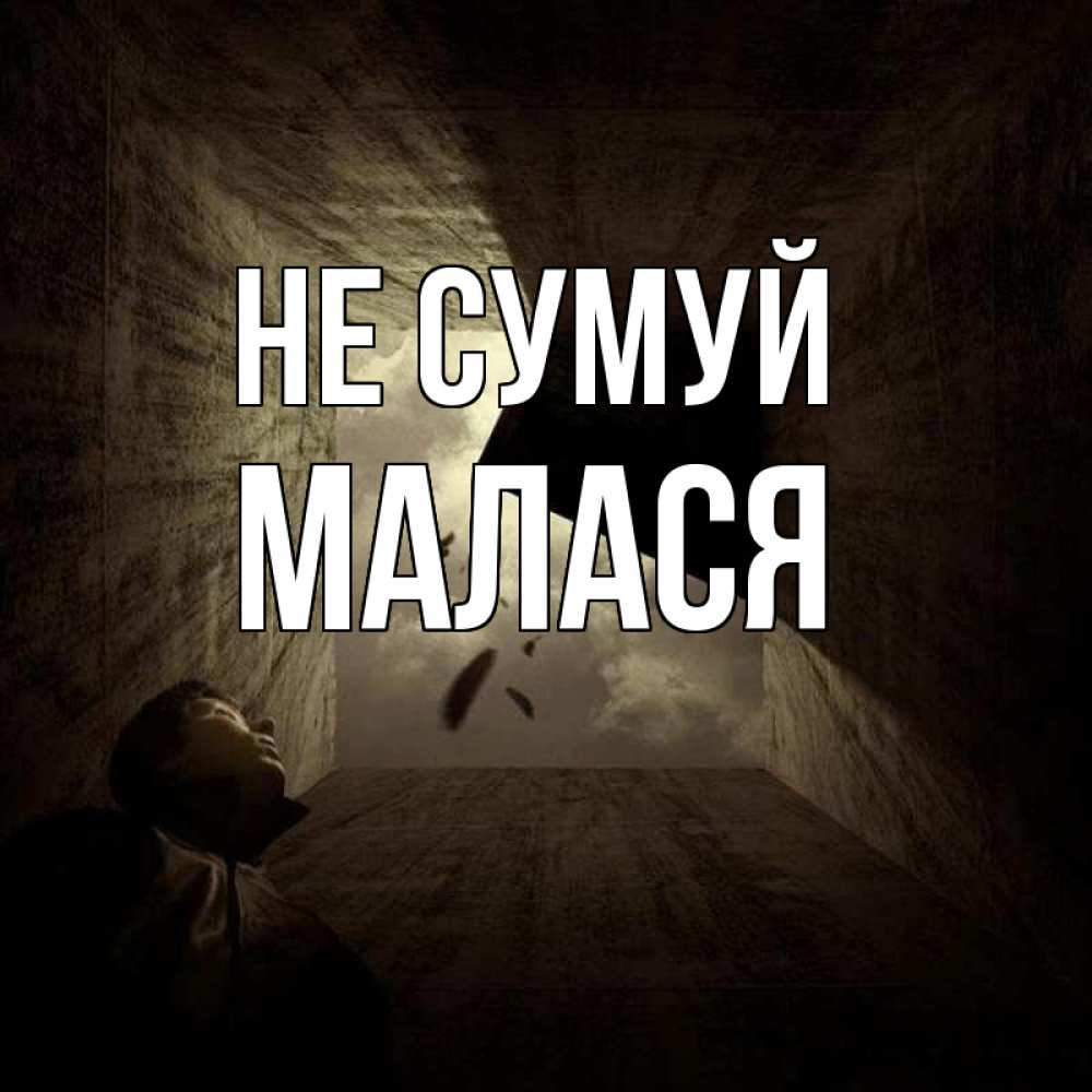 Открытка на каждый день з підписом, Малася Не сумуй жуть Прикольна листівка з побажанням онлайн скачати безкоштовно 