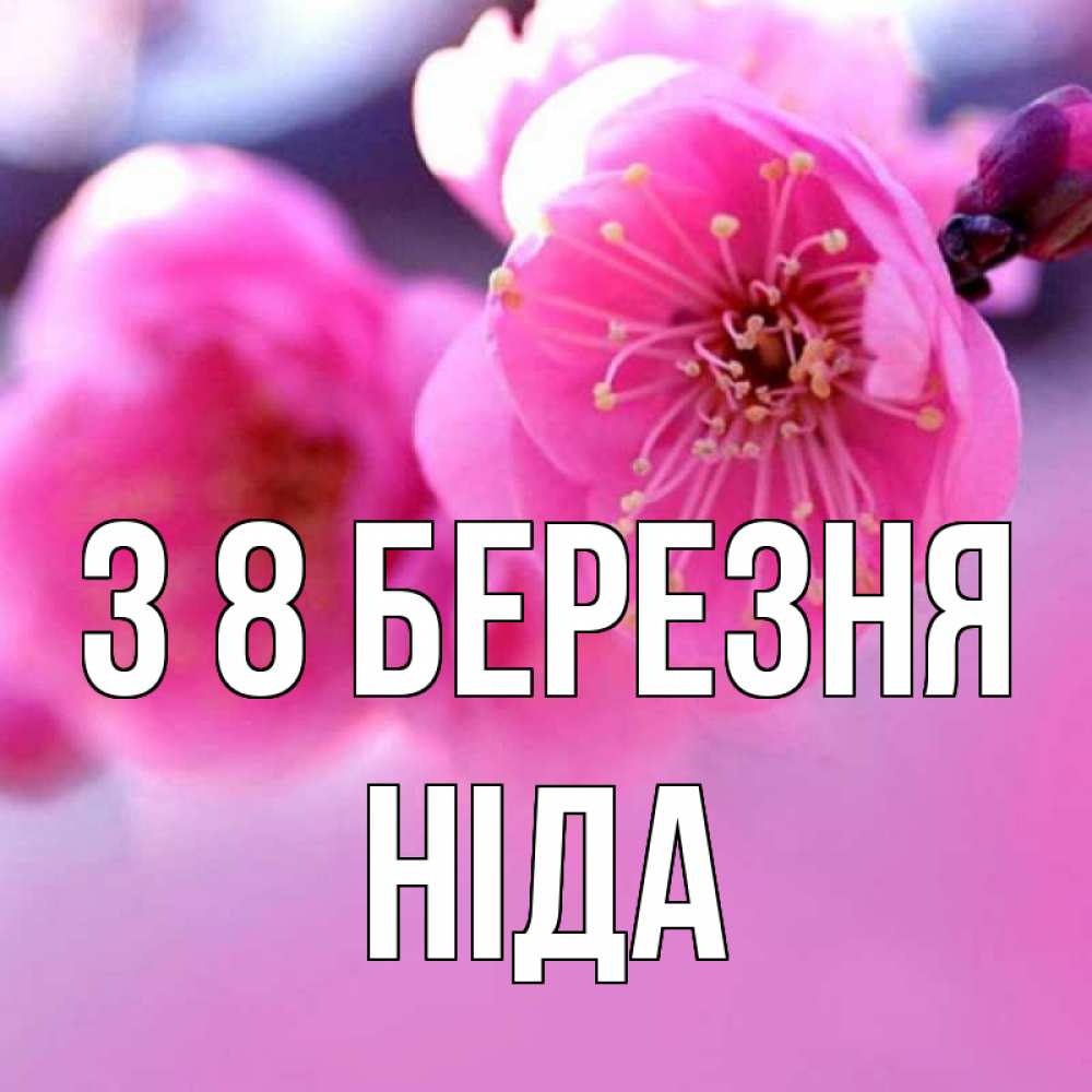 Открытка на каждый день з підписом, Ніда З 8 БЕРЕЗНЯ международный женский день Прикольна листівка з побажанням онлайн скачати безкоштовно 