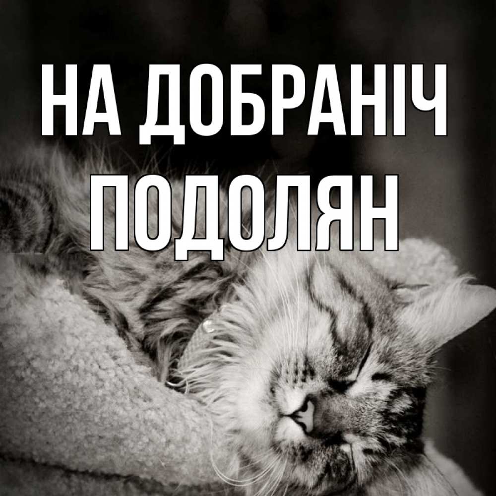 Открытка на каждый день з підписом, Подолян На добраніч котярик пушистый Прикольна листівка з побажанням онлайн скачати безкоштовно 