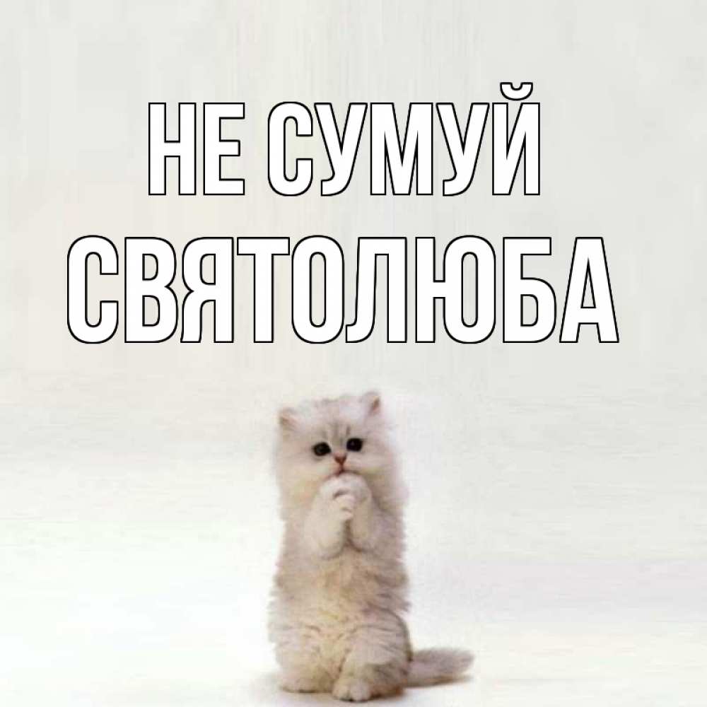 Открытка на каждый день з підписом, Святолюба Не сумуй грустный кот Прикольна листівка з побажанням онлайн скачати безкоштовно 
