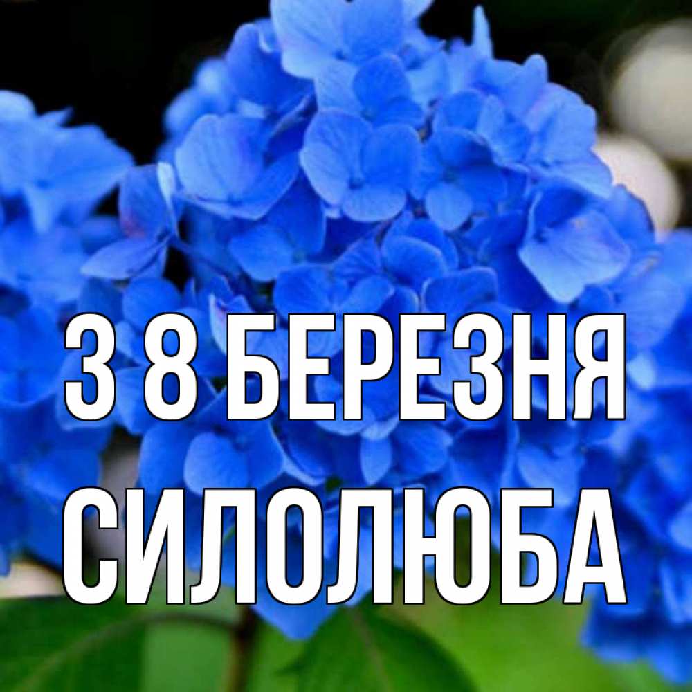 Открытка на каждый день з підписом, Силолюба З 8 БЕРЕЗНЯ синие цветы Прикольна листівка з побажанням онлайн скачати безкоштовно 