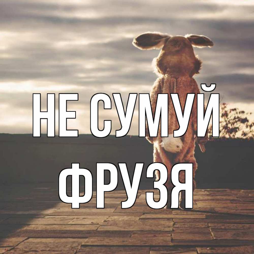 Открытка на каждый день з підписом, Фрузя Не сумуй со спины Прикольна листівка з побажанням онлайн скачати безкоштовно 