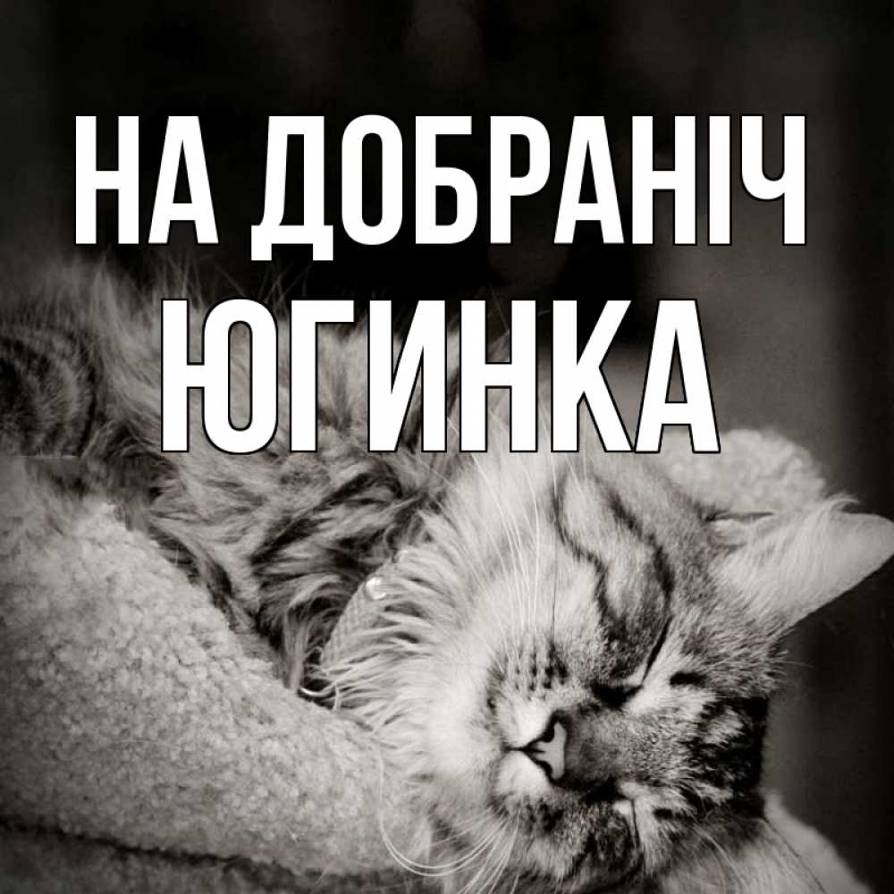 Открытка на каждый день з підписом, Югинка На добраніч котярик пушистый Прикольна листівка з побажанням онлайн скачати безкоштовно 