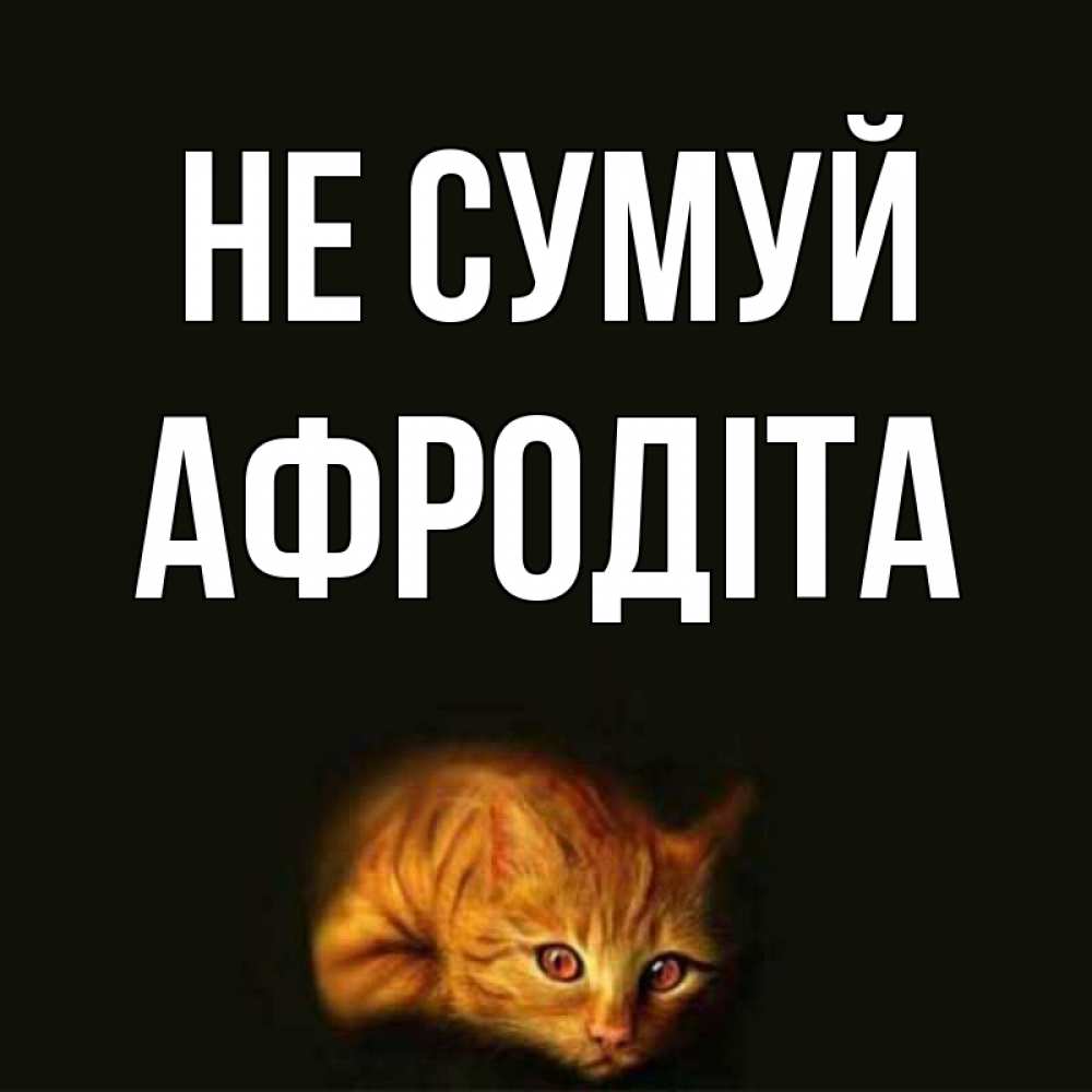 Открытка на каждый день з підписом, Афродіта Не сумуй лежащий кот в темноте Прикольна листівка з побажанням онлайн скачати безкоштовно 