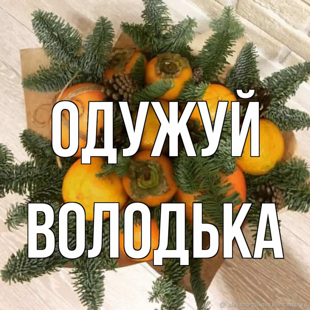 Открытка на каждый день з підписом, Володька Одужуй апельсины и хурьма Прикольна листівка з побажанням онлайн скачати безкоштовно 