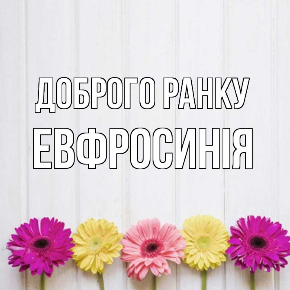 Открытка на каждый день з підписом, Евфросинія Доброго ранку красный желтый и розовый цветок Прикольна листівка з побажанням онлайн скачати безкоштовно 