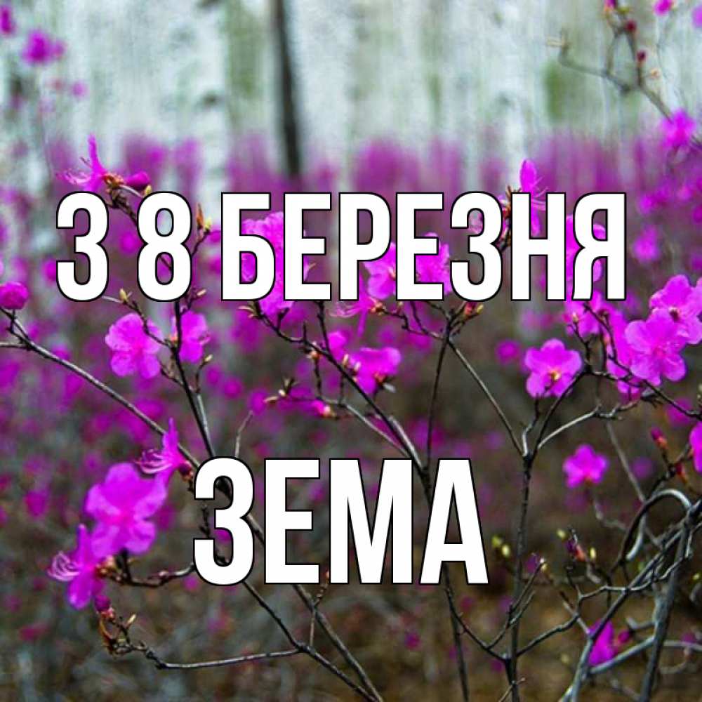 Открытка на каждый день з підписом, Зема З 8 БЕРЕЗНЯ дикие цветы Прикольна листівка з побажанням онлайн скачати безкоштовно 