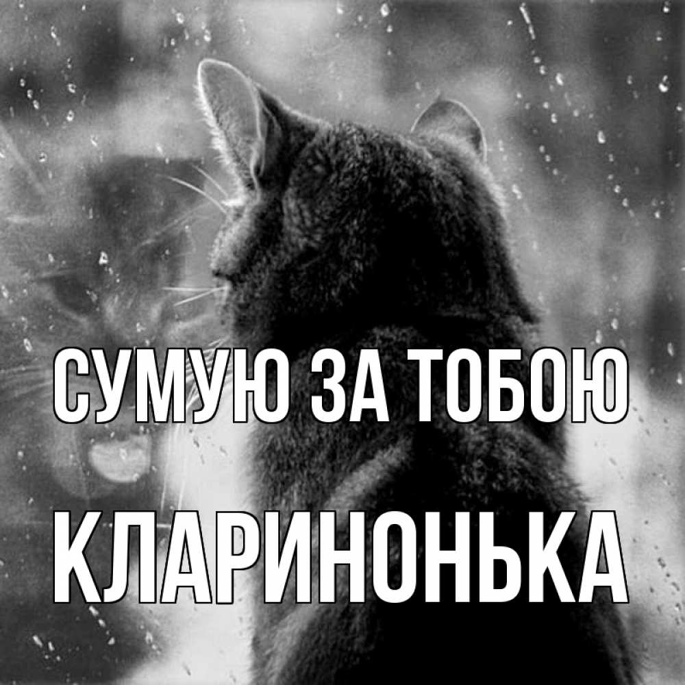 Открытка на каждый день з підписом, Кларинонька Сумую за тобою скорее ко мне приходи 1 Прикольна листівка з побажанням онлайн скачати безкоштовно 