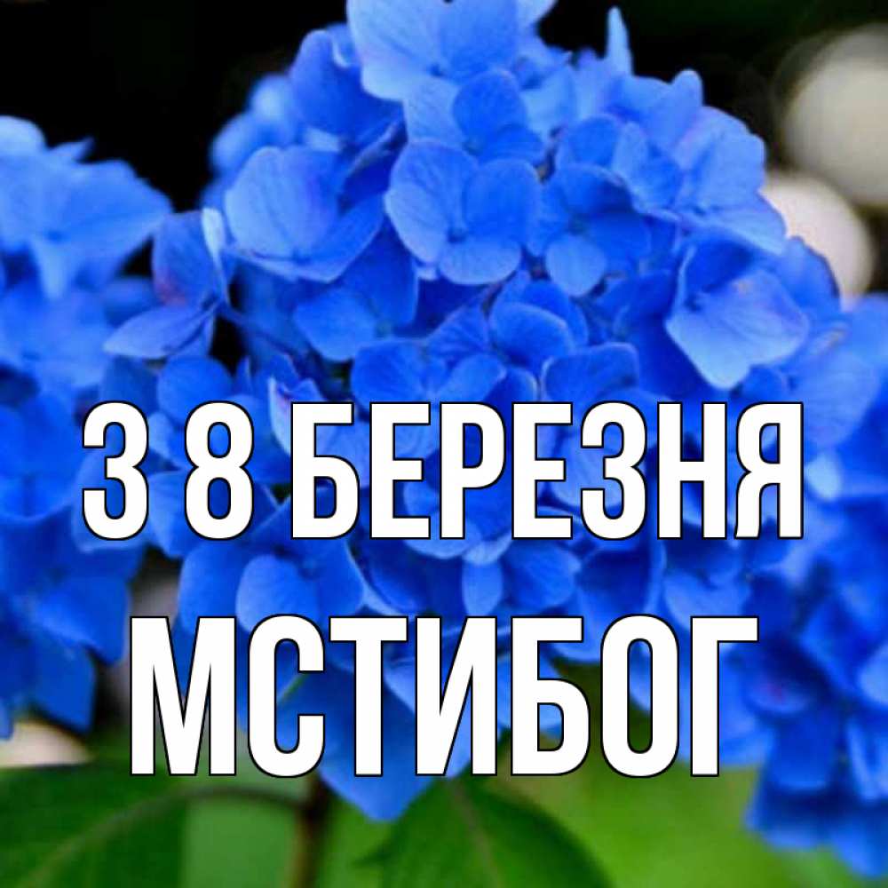 Открытка на каждый день з підписом, Мстибог З 8 БЕРЕЗНЯ синие цветы Прикольна листівка з побажанням онлайн скачати безкоштовно 