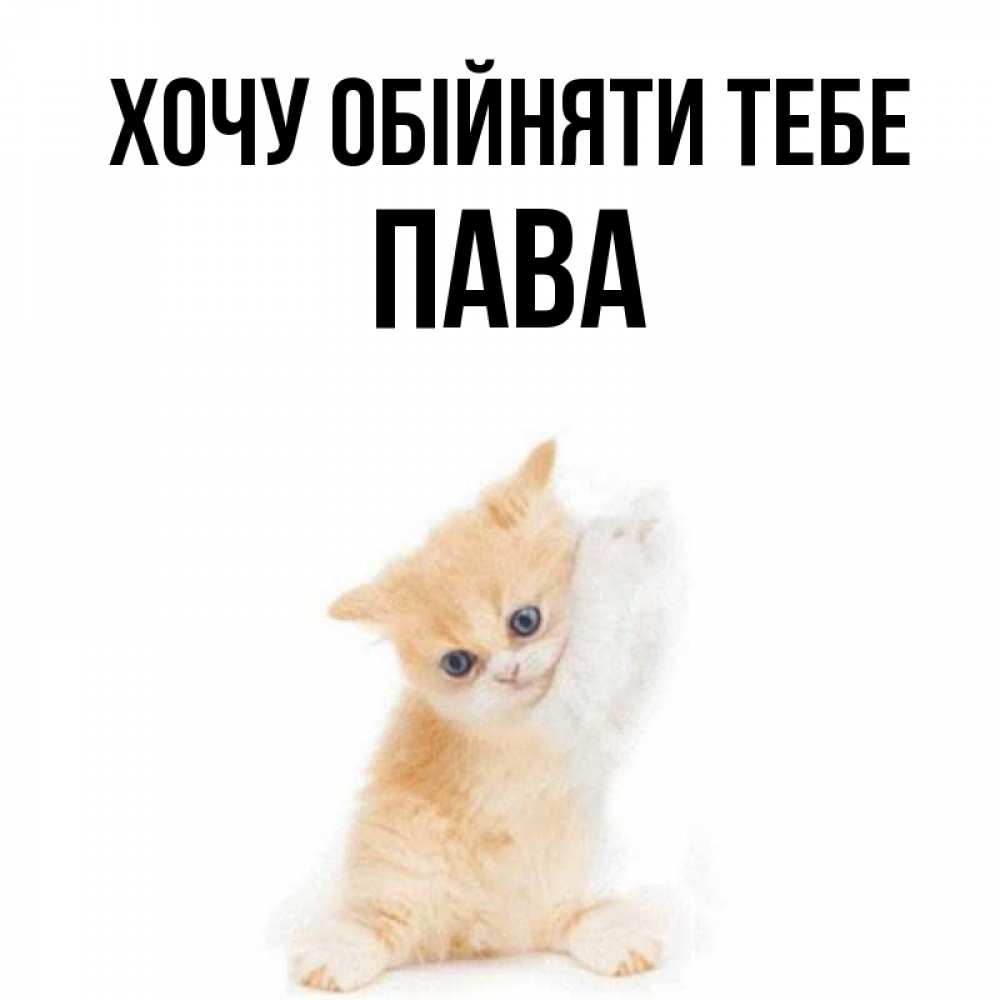 Открытка на каждый день з підписом, Пава Хочу обійняти тебе я хочу очень скорее обнимаешек Прикольна листівка з побажанням онлайн скачати безкоштовно 