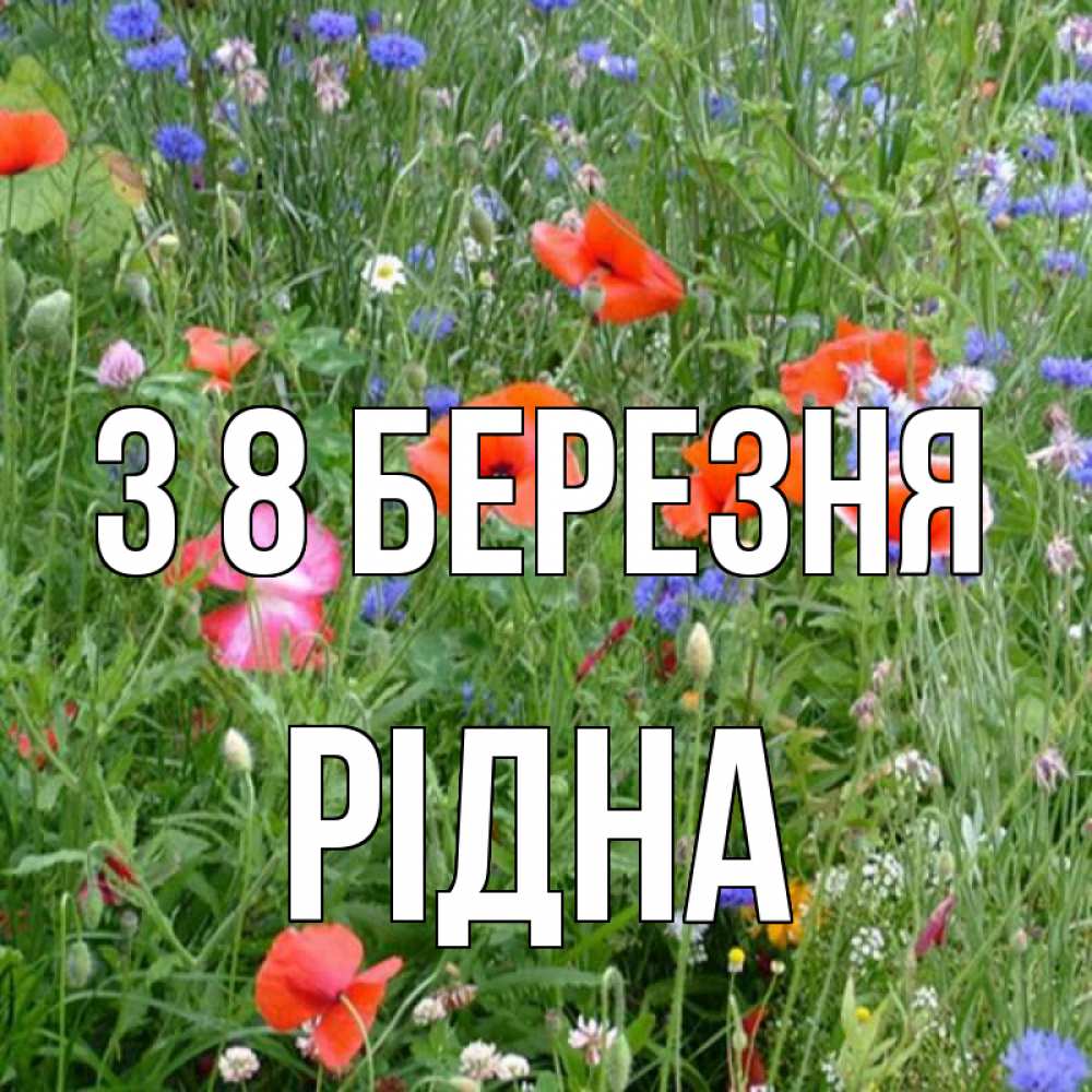 Открытка на каждый день з підписом, Рідна З 8 БЕРЕЗНЯ международный женский день 4 Прикольна листівка з побажанням онлайн скачати безкоштовно 