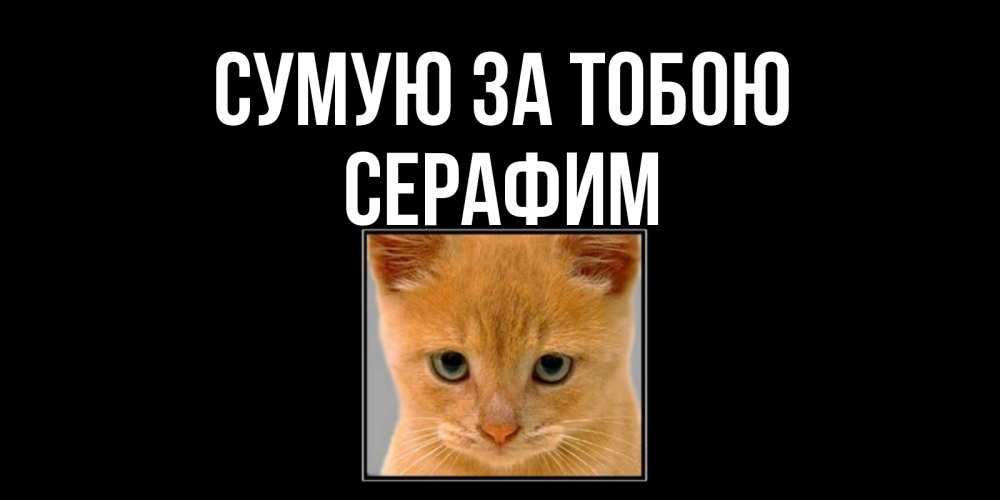 Открытка на каждый день з підписом, Серафим Сумую за тобою открытки рыжий котенок скучает по тебе Прикольна листівка з побажанням онлайн скачати безкоштовно 