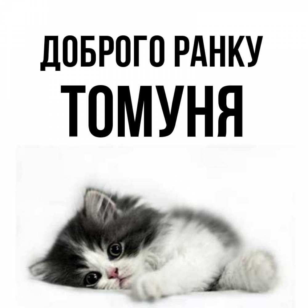 Открытка на каждый день з підписом, Томуня Доброго ранку кот лапки Прикольна листівка з побажанням онлайн скачати безкоштовно 