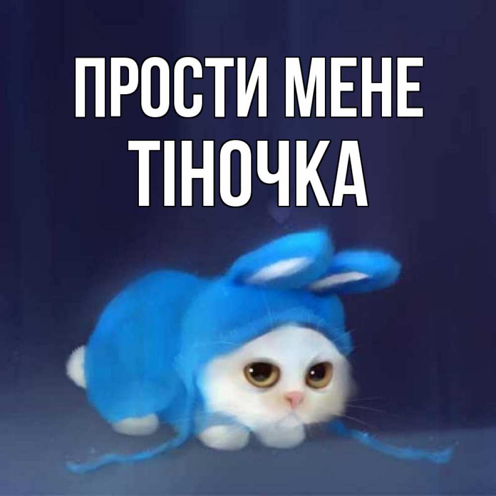 Открытка на каждый день з підписом, Тіночка Прости мене невинный котозай просит прощения Прикольна листівка з побажанням онлайн скачати безкоштовно 