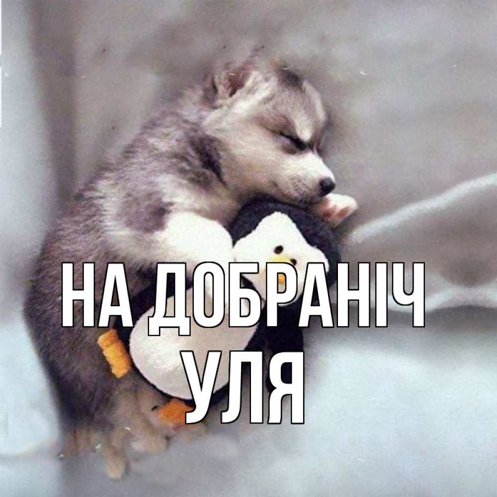 Открытка на каждый день з підписом, Уля На добраніч обнимашки щенка и пингвина Прикольна листівка з побажанням онлайн скачати безкоштовно 