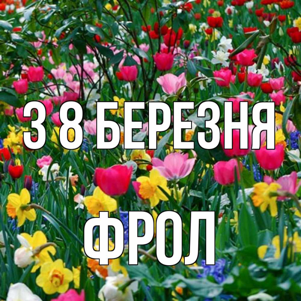 Открытка на каждый день з підписом, Фрол З 8 БЕРЕЗНЯ с международным женским днем поздравления для женщины Прикольна листівка з побажанням онлайн скачати безкоштовно 