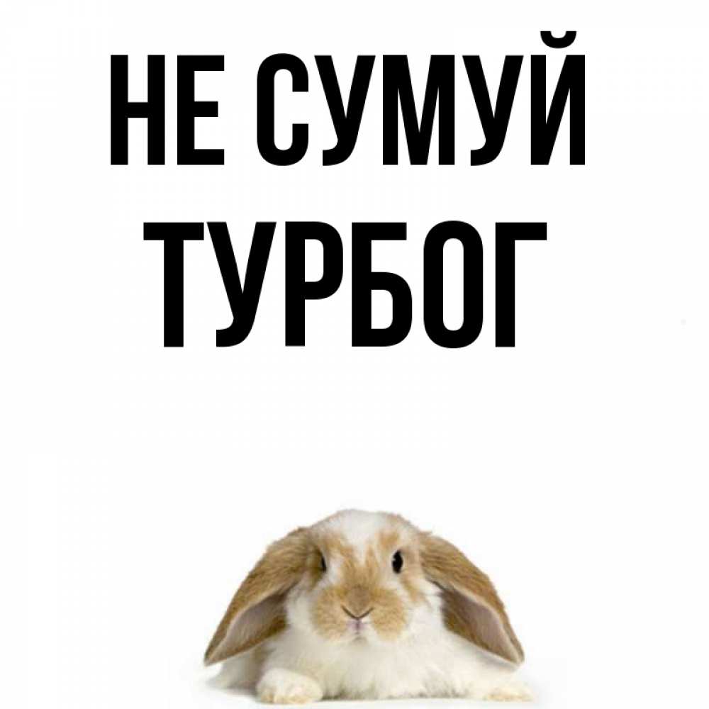 Открытка на каждый день з підписом, Турбог Не сумуй коричнево белый заяц с большими ушками Прикольна листівка з побажанням онлайн скачати безкоштовно 