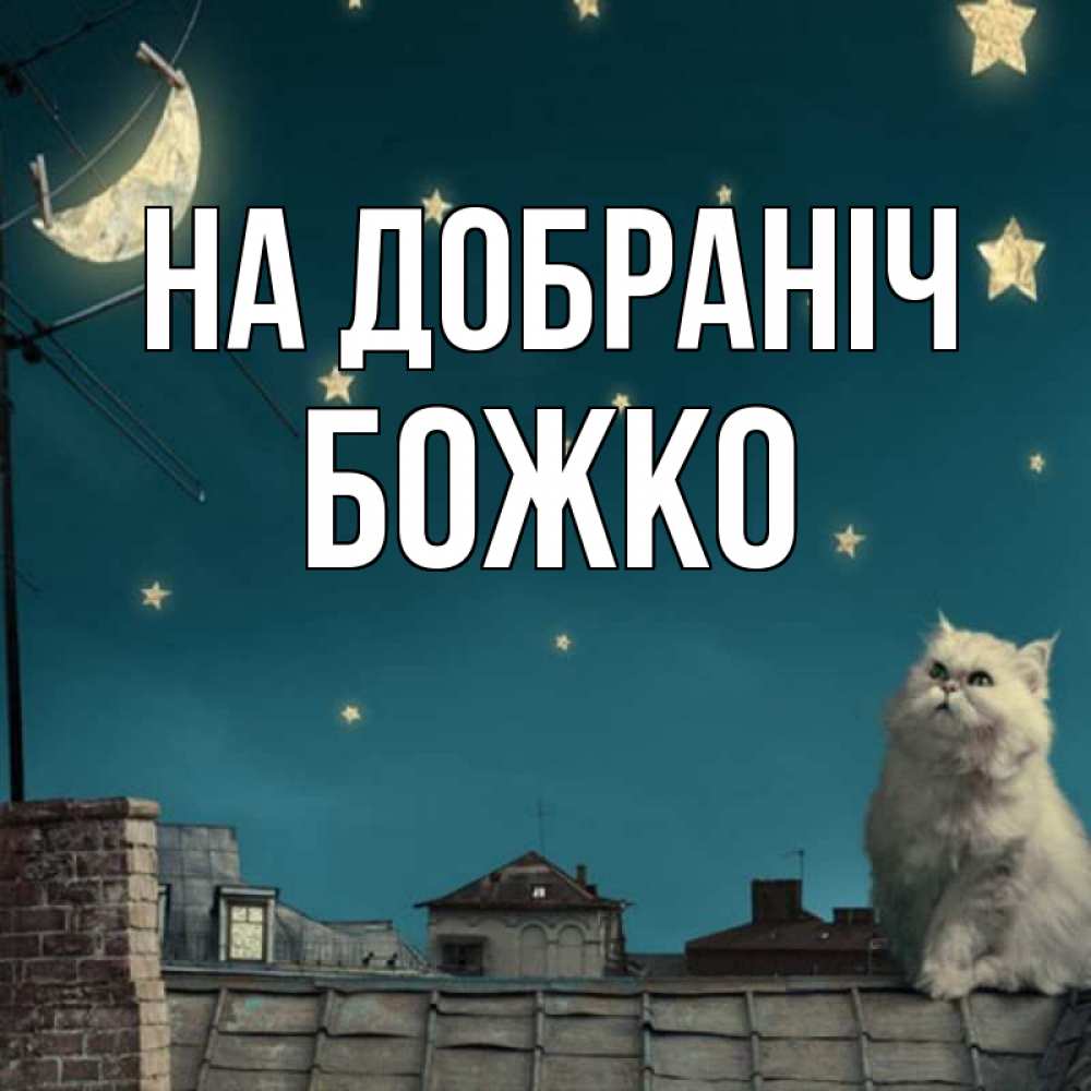 Открытка на каждый день з підписом, Божко На добраніч белый кот сидит на крыше Прикольна листівка з побажанням онлайн скачати безкоштовно 