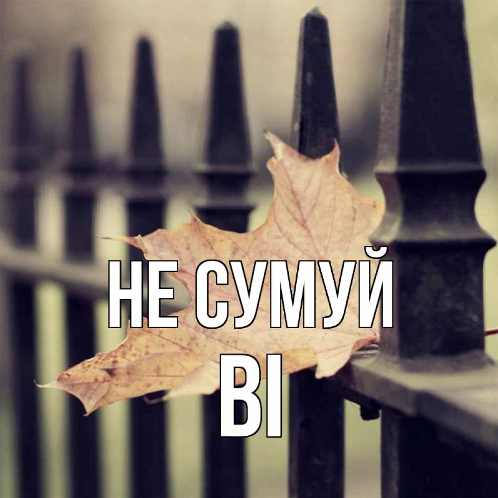 Открытка на каждый день з підписом, Ві Не сумуй лист клена Прикольна листівка з побажанням онлайн скачати безкоштовно 