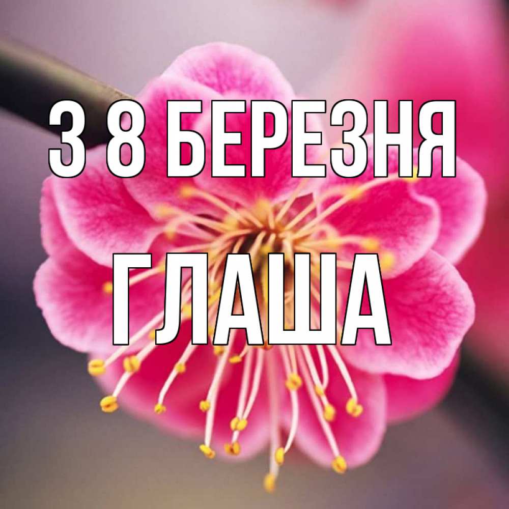 Открытка на каждый день з підписом, Глаша З 8 БЕРЕЗНЯ цветы Прикольна листівка з побажанням онлайн скачати безкоштовно 