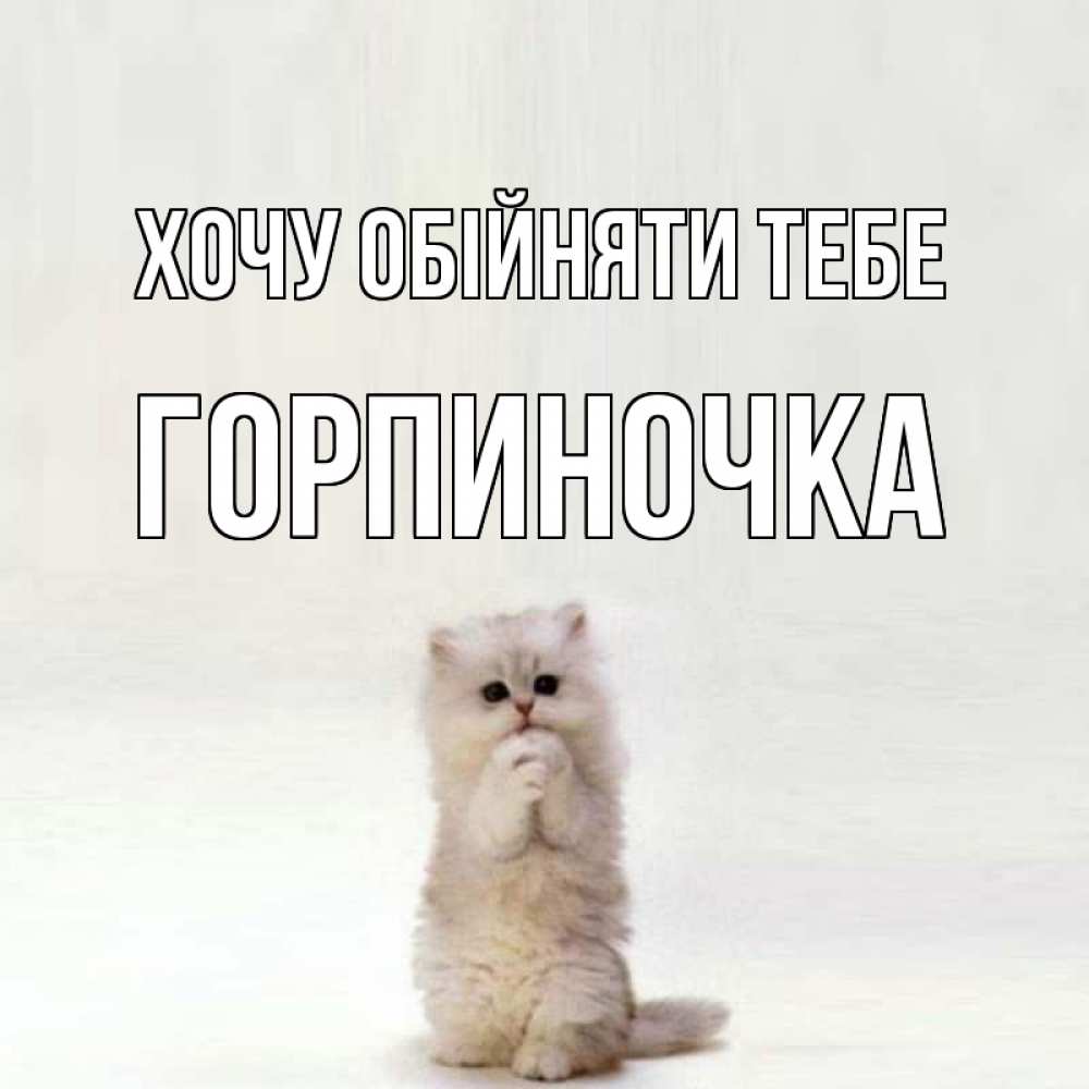 Открытка на каждый день з підписом, Горпиночка Хочу обійняти тебе открытки с креативными подписями Прикольна листівка з побажанням онлайн скачати безкоштовно 