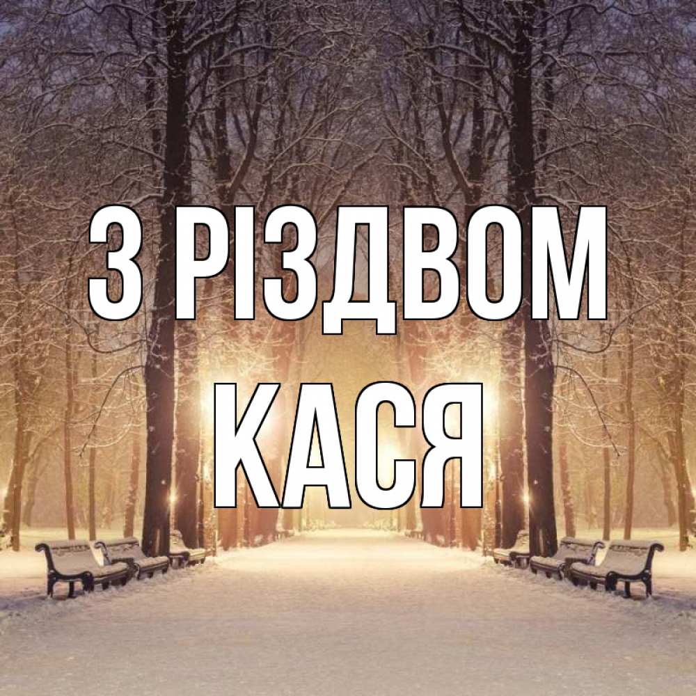 Открытка на каждый день з підписом, Кася З Різдвом зима, парк, фонарь, лес Прикольна листівка з побажанням онлайн скачати безкоштовно 