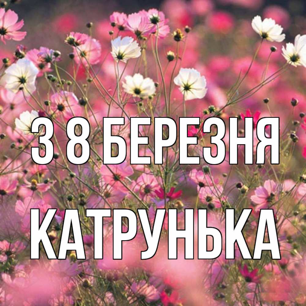 Открытка на каждый день з підписом, Катрунька З 8 БЕРЕЗНЯ красиво 1 Прикольна листівка з побажанням онлайн скачати безкоштовно 