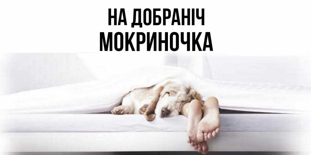 Открытка на каждый день з підписом, Мокриночка На добраніч кровать с собакой пожелание сладких снов и спокойной ночи Прикольна листівка з побажанням онлайн скачати безкоштовно 