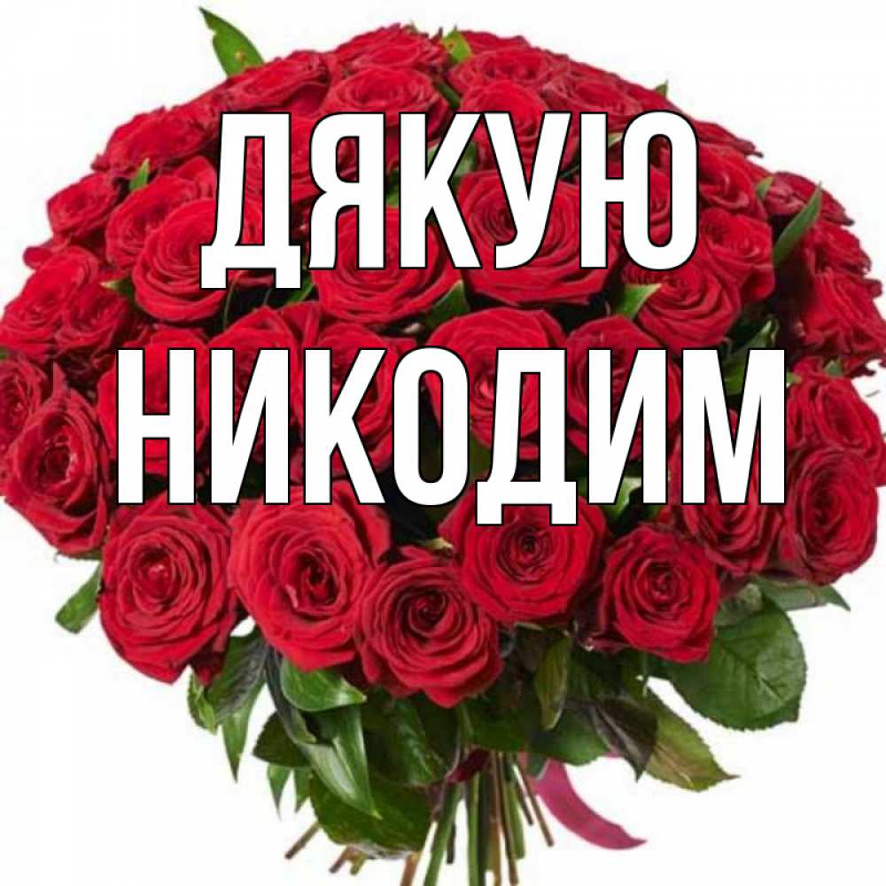 Открытка на каждый день з підписом, Никодим Дякую букет красных роз Прикольна листівка з побажанням онлайн скачати безкоштовно 
