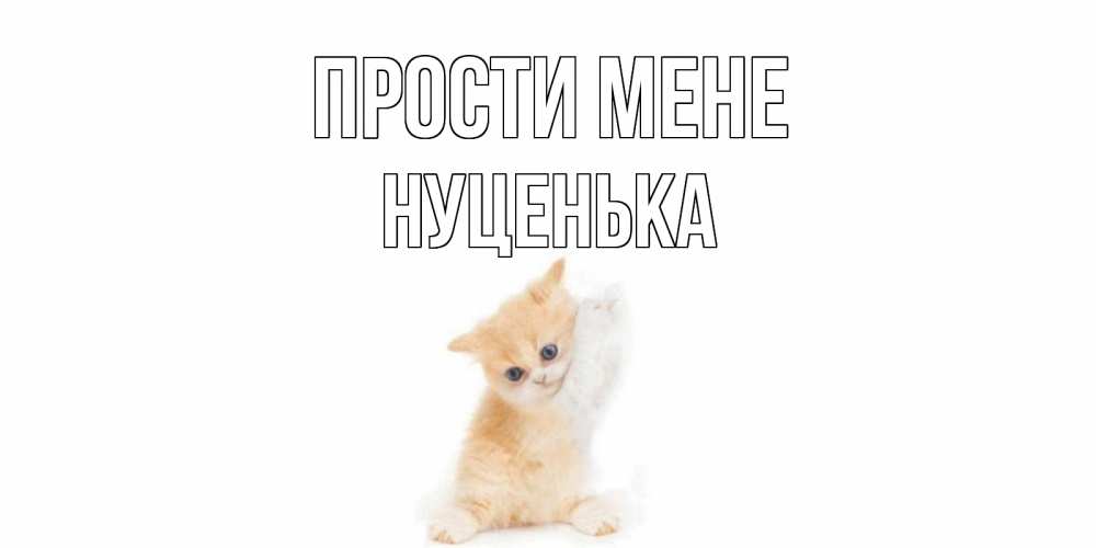 Открытка на каждый день з підписом, Нуценька Прости мене кот Прикольна листівка з побажанням онлайн скачати безкоштовно 