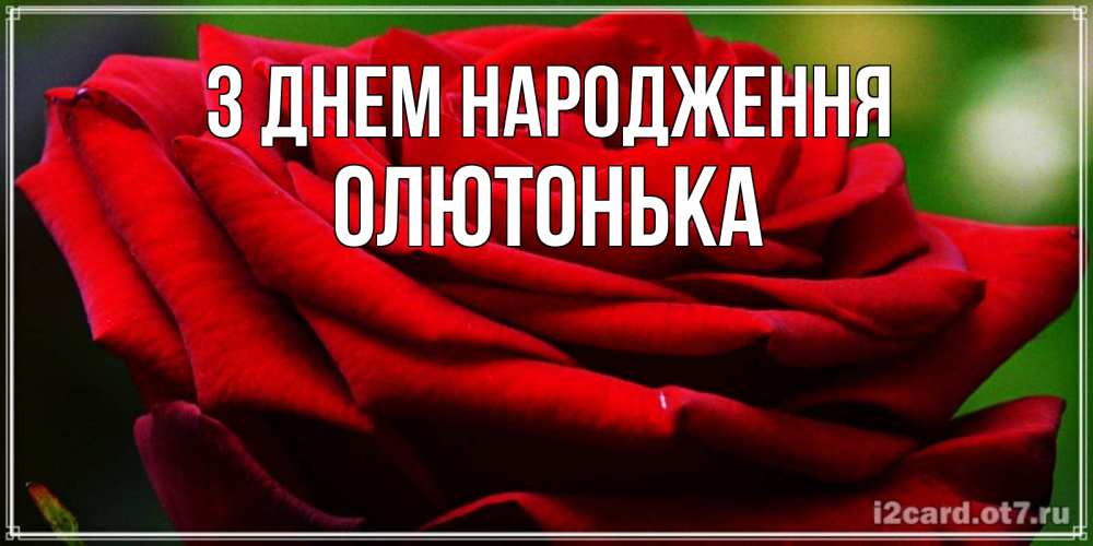 Открытка на каждый день з підписом, Олютонька З Днем народження розочка очень красивая Прикольна листівка з побажанням онлайн скачати безкоштовно 