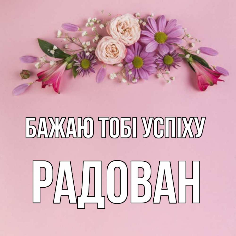 Открытка на каждый день з підписом, Радован Бажаю тобі успіху розовый фон Прикольна листівка з побажанням онлайн скачати безкоштовно 