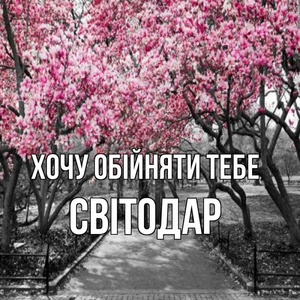Открытка на каждый день з підписом, Світодар Хочу обійняти тебе обработанное фото Прикольна листівка з побажанням онлайн скачати безкоштовно 