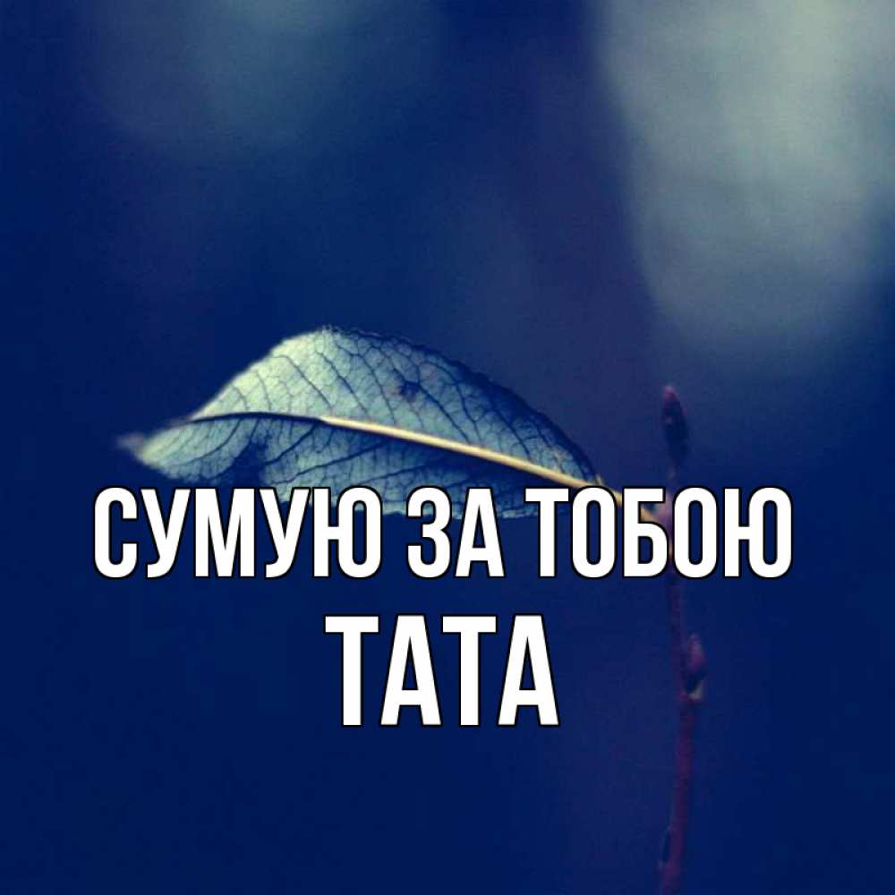 Открытка на каждый день з підписом, Тата Сумую за тобою одна ветка 1 Прикольна листівка з побажанням онлайн скачати безкоштовно 