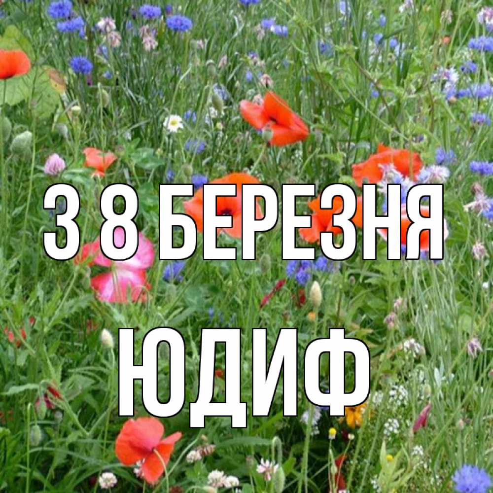 Открытка на каждый день з підписом, Юдиф З 8 БЕРЕЗНЯ международный женский день 4 Прикольна листівка з побажанням онлайн скачати безкоштовно 