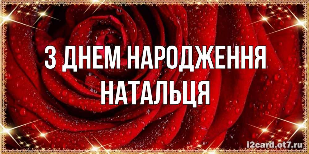 Открытка на каждый день з підписом, Натальця З Днем народження роса на розе блестящая в лучах солнца Прикольна листівка з побажанням онлайн скачати безкоштовно 