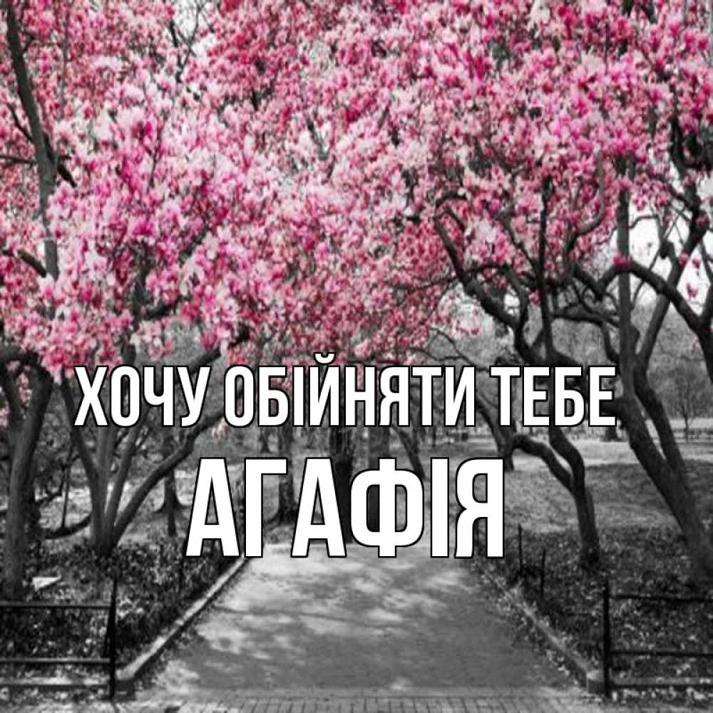 Открытка на каждый день з підписом, Агафія Хочу обійняти тебе обработанное фото Прикольна листівка з побажанням онлайн скачати безкоштовно 