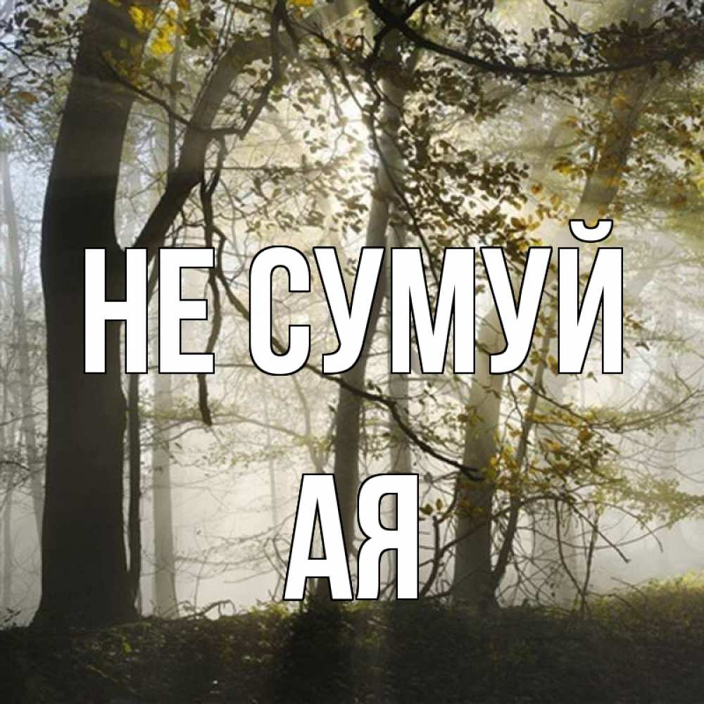 Открытка на каждый день з підписом, Ая Не сумуй лес и свет Прикольна листівка з побажанням онлайн скачати безкоштовно 