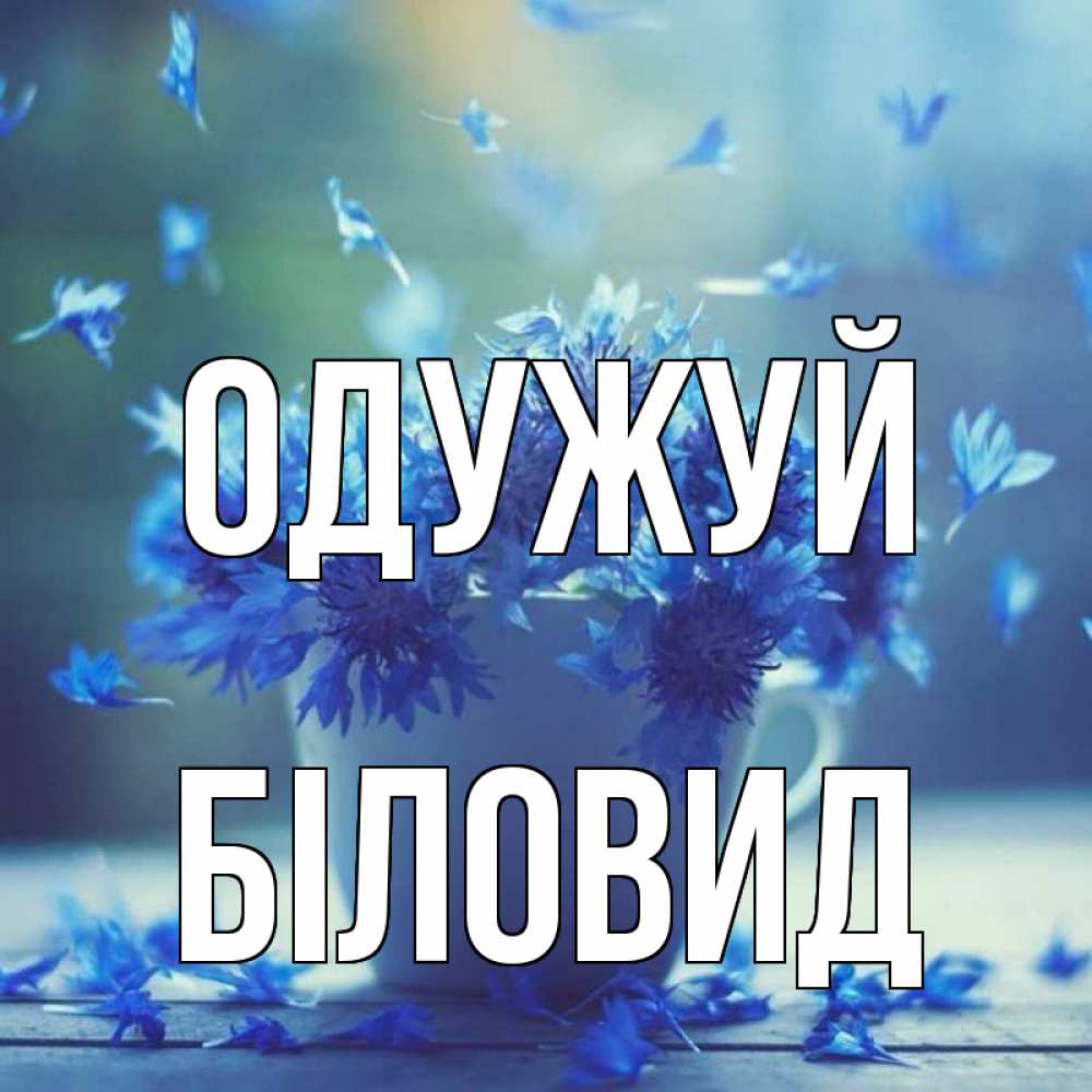 Открытка на каждый день з підписом, Біловид Одужуй кружка с зельем и цветами Прикольна листівка з побажанням онлайн скачати безкоштовно 