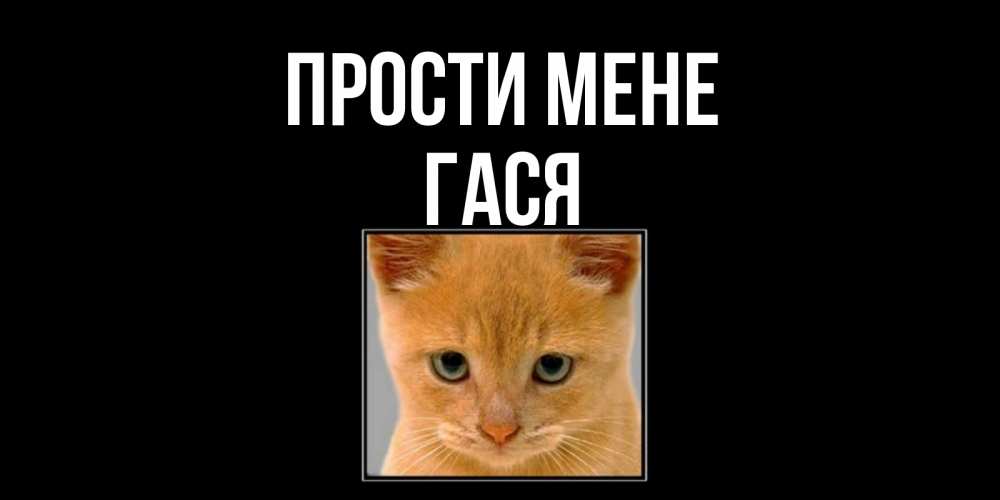 Открытка на каждый день з підписом, Гася Прости мене рыжий грустный кот просит прощения Прикольна листівка з побажанням онлайн скачати безкоштовно 
