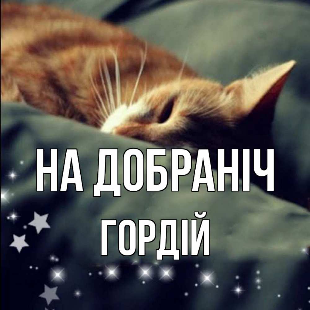 Открытка на каждый день з підписом, Гордій На добраніч кроватка Прикольна листівка з побажанням онлайн скачати безкоштовно 