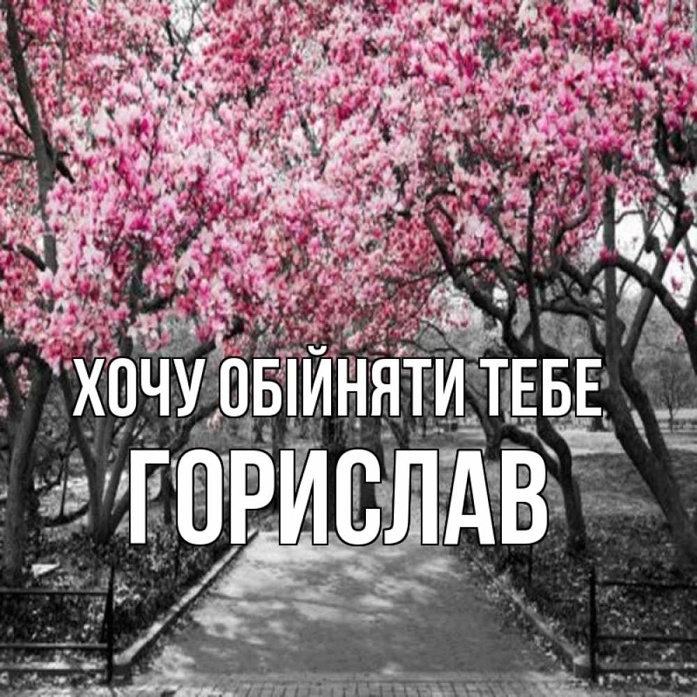 Открытка на каждый день з підписом, Горислав Хочу обійняти тебе обработанное фото Прикольна листівка з побажанням онлайн скачати безкоштовно 