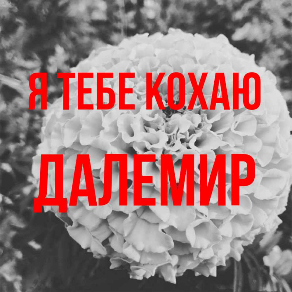 Открытка на каждый день з підписом, Далемир Я тебе кохаю подпись Прикольна листівка з побажанням онлайн скачати безкоштовно 